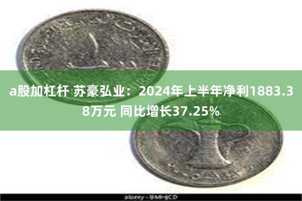 a股加杠杆 苏豪弘业：2024年上半年净利1883.38万元 同比增长37.25%