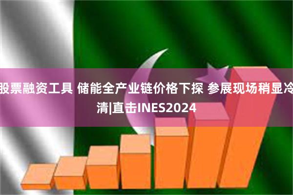 股票融资工具 储能全产业链价格下探 参展现场稍显冷清|直击INES2024