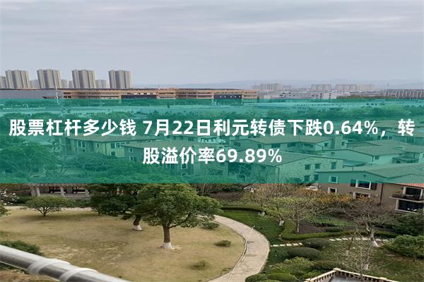 股票杠杆多少钱 7月22日利元转债下跌0.64%，转股溢价率69.89%