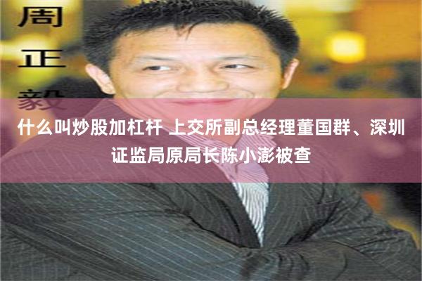 什么叫炒股加杠杆 上交所副总经理董国群、深圳证监局原局长陈小澎被查