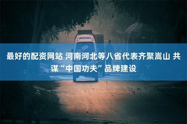 最好的配资网站 河南河北等八省代表齐聚嵩山 共谋“中国功夫”品牌建设