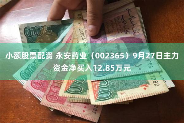 小额股票配资 永安药业（002365）9月27日主力资金净买入12.85万元