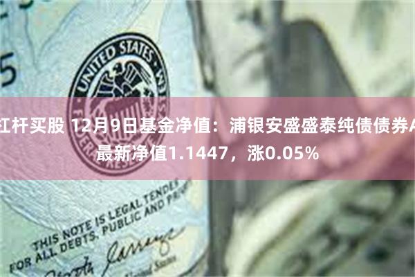 杠杆买股 12月9日基金净值：浦银安盛盛泰纯债债券A最新净值1.1447，涨0.05%