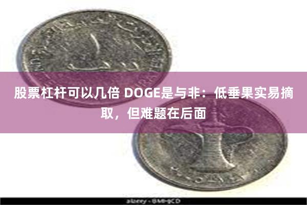 股票杠杆可以几倍 DOGE是与非：低垂果实易摘取，但难题在后面